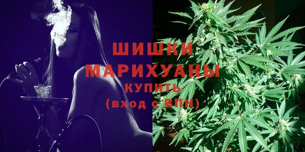 ECSTASY Богородицк